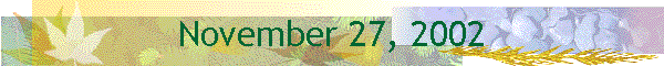 November 27, 2002
