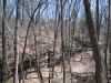 110-1031_IMG.JPG (658237 bytes)