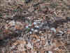 110-1041_IMG.JPG (623646 bytes)