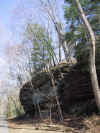 110-1055_IMG.JPG (337577 bytes)