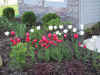 IMG_1066.JPG (560104 bytes)