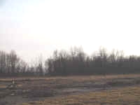 IMG_0609.JPG (458089 bytes)